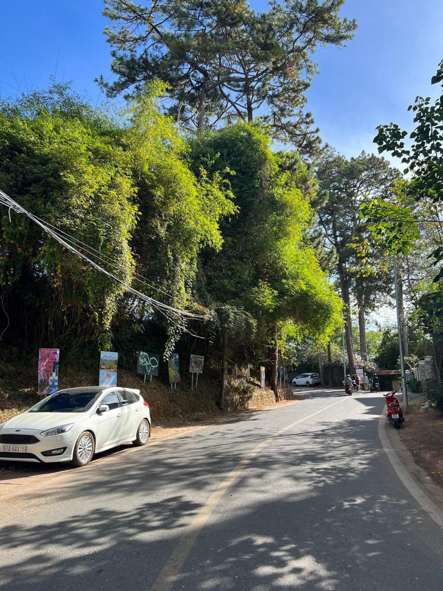 Nature Hotel - Dalat 3 Esterno foto